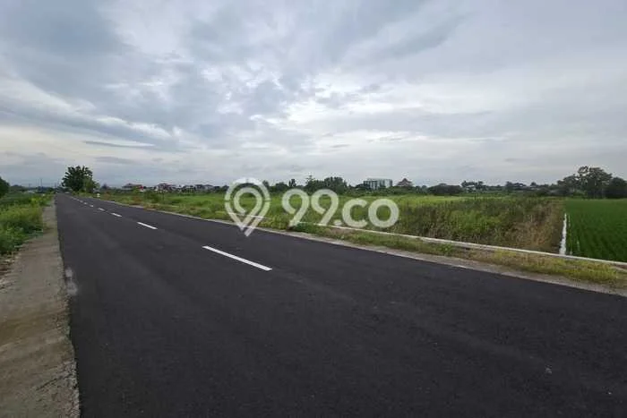 Dijual Tanah di Wonosari Klaten Luas 9514m2 - Dijual Tanah di Wonosari Klaten Luas 9514m2 -