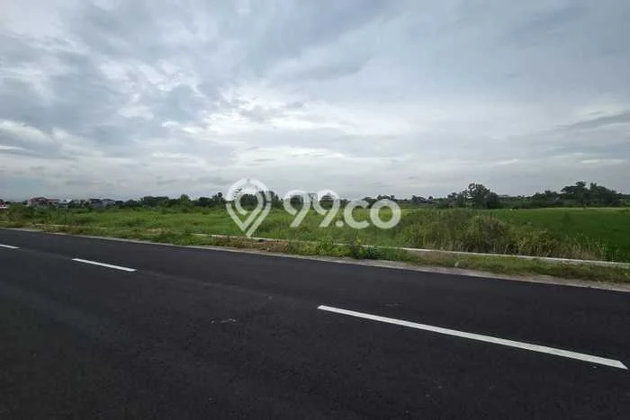 Dijual Tanah di Wonosari Klaten Luas 9514m2 - Dijual Tanah di Wonosari Klaten Luas 9514m2 -