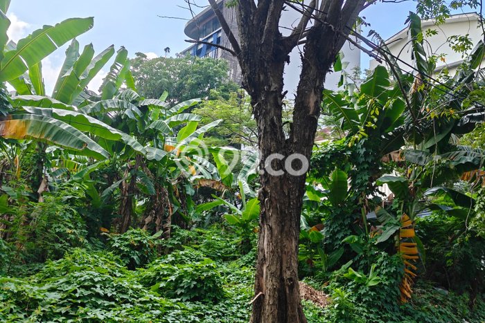 Kavling Tanah untuk Dijual di Sunter, Jakarta Utara, Luas 379m2 Kavling Tanah untuk Dijual di Sunter, Jakarta Utara, Luas 379m2