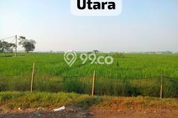 Lahan Strategis di Pebayuran Dijual dengan Luas 5200m2 Lahan Strategis di Pebayuran Dijual dengan Luas 5200m2