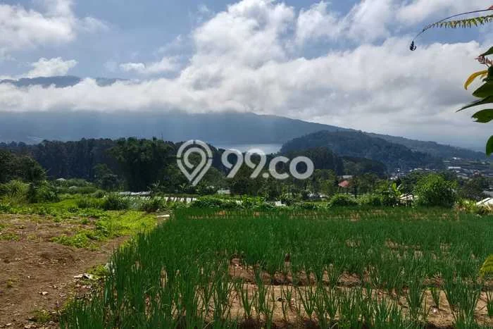 Tanah Dijual di Tabanan Seluas 9900m2 Strategis Tanah Dijual di Tabanan Seluas 9900m2 Strategis