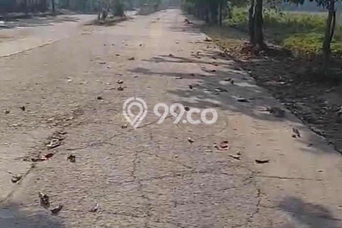 Tanah untuk Dijual di Jawilan Serang Luas 100000m2 Tanah untuk Dijual di Jawilan Serang Luas 100000m2