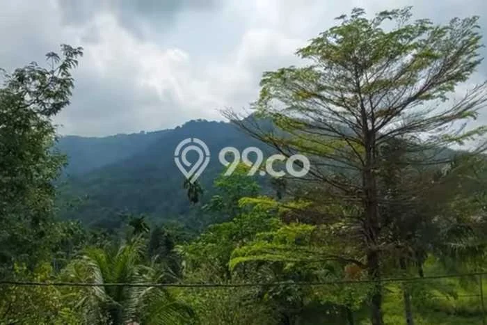 Dijual Vila di Cigudeg, Luas 41000m2m², Lingkungan Asri Dijual Vila di Cigudeg, Luas 41000m2m², Lingkungan Asri