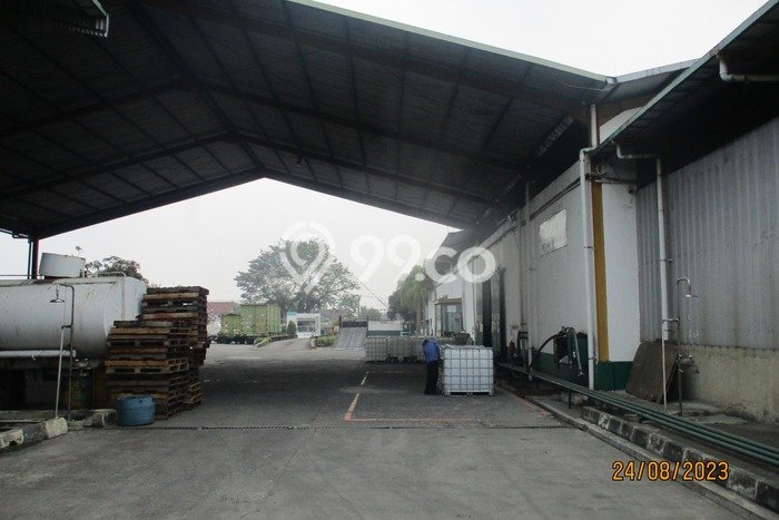 Gudang Dijual Lokasi Stratagis di Jawilan Serang Cocok untuk Investasi Gudang Dijual Lokasi Stratagis di Jawilan Serang Cocok untuk Investasi