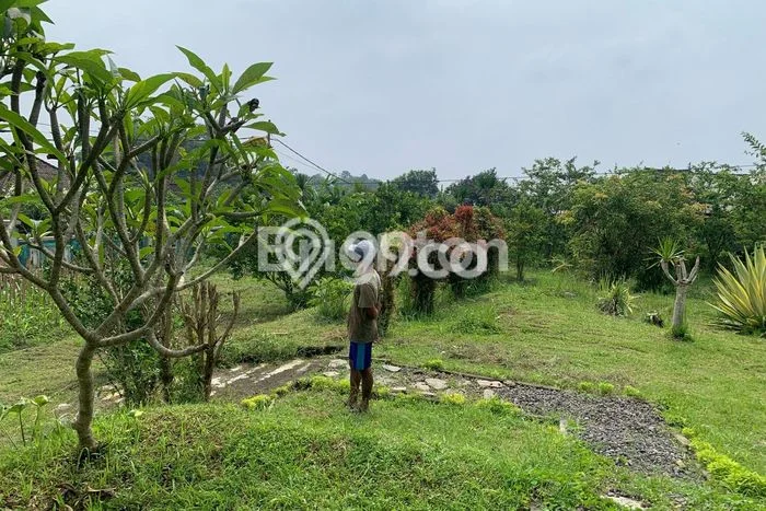 Dijual Tanah di Tabanan, Luas 3710m2 SHM Dijual Tanah di Tabanan, Luas 3710m2 SHM