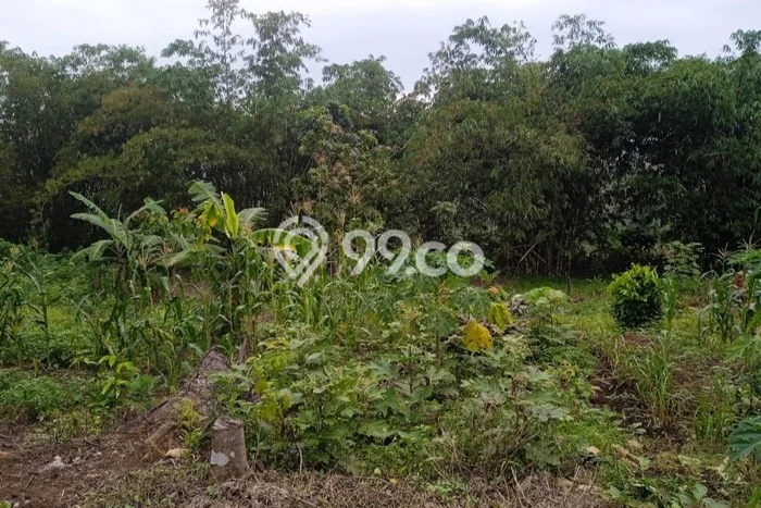 Dijual Tanah di Bogor, Luas 5610m2 SHM Dijual Tanah di Bogor, Luas 5610m2 SHM