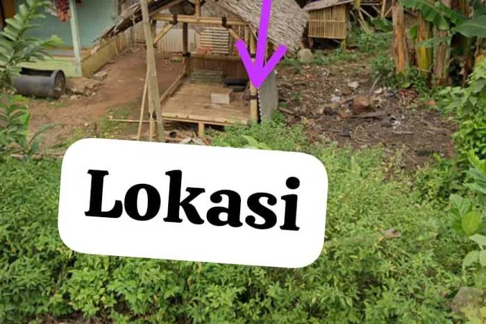 Tanah Dijual Lokasi Cibinong Bogor - Tanah Dijual Lokasi Cibinong Bogor -