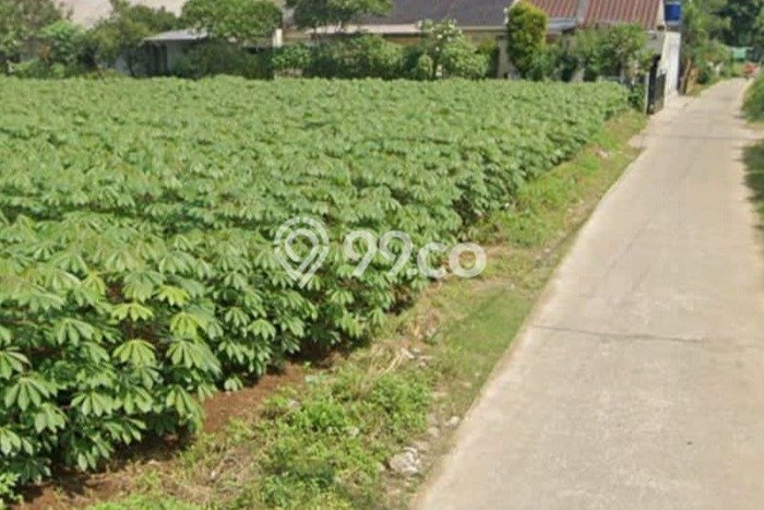 Jual Tanah Lokasi Strategis di Cibinong, Luas 1770m², Area Asri Jual Tanah Lokasi Strategis di Cibinong, Luas 1770m², Area Asri