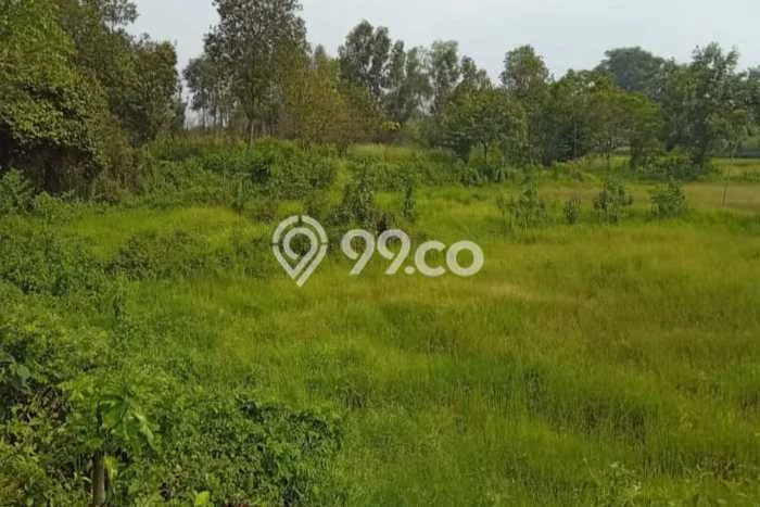 Lahan Investasi Lokasi Tigaraksa Tangerang - Lahan Investasi Lokasi Tigaraksa Tangerang -