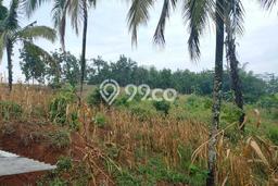 Dijual Tanah Lokasi Padalarang, Bandung Seluas 15000m2 Dijual Tanah Lokasi Padalarang, Bandung Seluas 15000m2