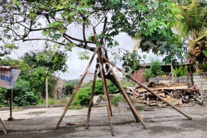 Unit Komersial Disewakan di Badung Area Strategis Harga Kompetitif Unit Komersial Disewakan di Badung Area Strategis Harga Kompetitif