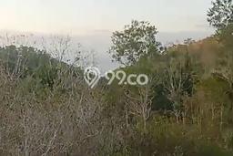 Tanah Kavling Dijual di Nusa Penida, Klungkung dengan Luas Tanah 2400m2 Tanah Kavling Dijual di Nusa Penida, Klungkung dengan Luas Tanah 2400m2
