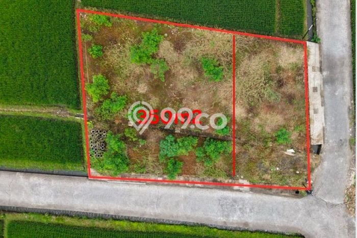 Untuk Dijual Tanah 350m2 di Beraban, Tabanan Untuk Dijual Tanah 350m2 di Beraban, Tabanan