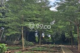 Kavling Tanah di Ubud Dijual Luas 2900m2 Legalitas SHM Kavling Tanah di Ubud Dijual Luas 2900m2 Legalitas SHM