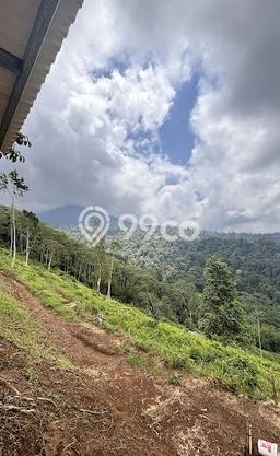 Untuk Dijual Tanah di Penebel Tabanan Luas 1000m2 SHM Untuk Dijual Tanah di Penebel Tabanan Luas 1000m2 SHM