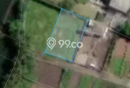 Lahan Kosong Dijual di Tabanan, Tabanan, Luas 500m2 Area Strategis Lahan Kosong Dijual di Tabanan, Tabanan, Luas 500m2 Area Strategis
