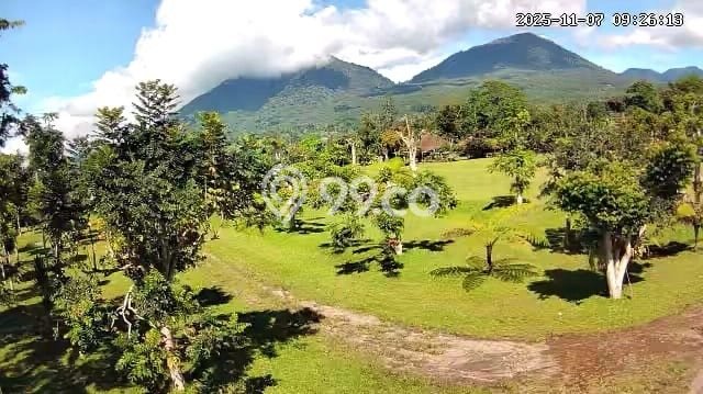 Tanah di Baturiti, Tabanan Luas 23100m2 Dijual Segera Tanah di Baturiti, Tabanan Luas 23100m2 Dijual Segera