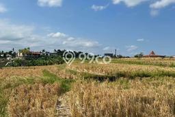 Tanah Kawasan Canggu, Luas 100m², Lokasi Premium Tanah Kawasan Canggu, Luas 100m², Lokasi Premium