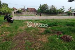Tanah Lokasi Strategis di Denpasar Barat, Luas 1850m², Lingkungan Nyaman, Dekat Denpasar Barat, Denpasar, Denpasar Tanah Lokasi Strategis di Denpasar Barat, Luas 1850m², Lingkungan Nyaman, Dekat Denpasar Barat, Denpasar, Denpasar
