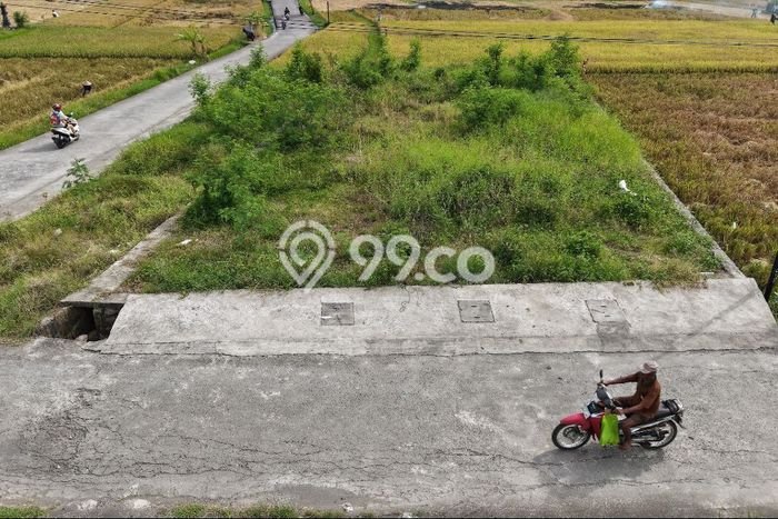 Untuk Dijual Tanah 350m2 di Beraban, Tabanan Untuk Dijual Tanah 350m2 di Beraban, Tabanan