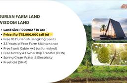 Lahan Kosong Dijual di Penebel, Tabanan, Luas 1000m2 Area Strategis Lahan Kosong Dijual di Penebel, Tabanan, Luas 1000m2 Area Strategis
