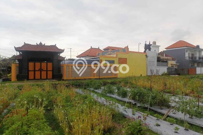 DIJUAL CEPAT! Rumah Siap Huni Area Strategis Tanah Lot, LT 200m² Bangunan 70m² DIJUAL CEPAT! Rumah Siap Huni Area Strategis Tanah Lot, LT 200m² Bangunan 70m²