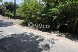 Dijual Tanah di Badung, Luas 2000m2 SHM Dijual Tanah di Badung, Luas 2000m2 SHM