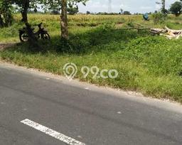 Tanah Dijual Area Strategis di Baha Badung 100m2 Tanah Dijual Area Strategis di Baha Badung 100m2