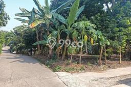 Tanah Kavling Dijual di Bojong Sari, Depok dengan Luas Tanah 100m2 Tanah Kavling Dijual di Bojong Sari, Depok dengan Luas Tanah 100m2