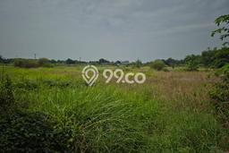 Disewakan Tanah Seluas 30000m2 di Prambon, Sidoarjo Disewakan Tanah Seluas 30000m2 di Prambon, Sidoarjo
