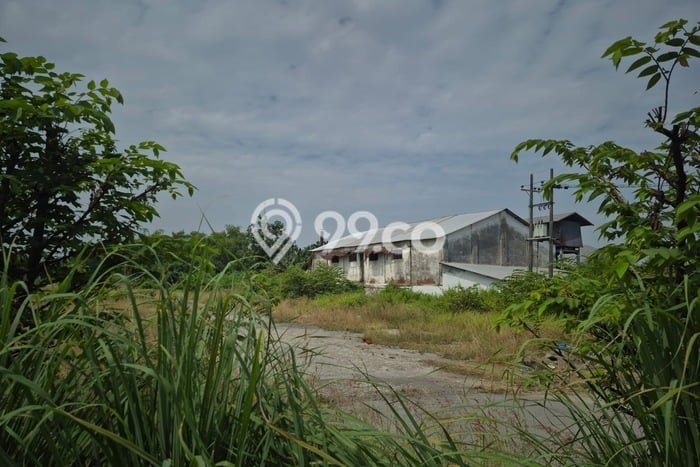 Disewakan Tanah Seluas 30000m2 di Prambon, Sidoarjo Disewakan Tanah Seluas 30000m2 di Prambon, Sidoarjo