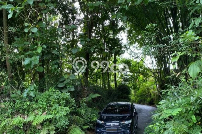 Tanah di Borobudur, Magelang Luas 1397m2 Dijual Segera Tanah di Borobudur, Magelang Luas 1397m2 Dijual Segera