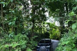Tanah di Borobudur, Magelang Luas 1397m2 Dijual Segera Tanah di Borobudur, Magelang Luas 1397m2 Dijual Segera