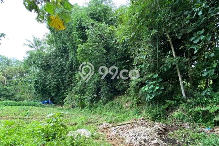Tanah di Borobudur, Magelang Luas 1397m2 Dijual Segera Tanah di Borobudur, Magelang Luas 1397m2 Dijual Segera