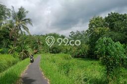 Dijual Tanah di Bandongan Magelang Luas 2750m2 - Dijual Tanah di Bandongan Magelang Luas 2750m2 -