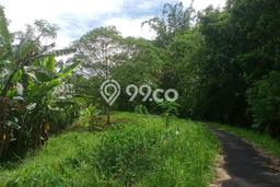Untuk Dijual Tanah di Bandongan Magelang Luas 2750m2 - Untuk Dijual Tanah di Bandongan Magelang Luas 2750m2 -