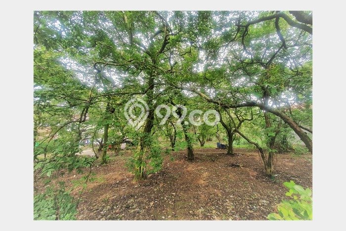 Kavling Tanah untuk Dijual di Rangkapanjaya, Depok, Luas 2600m2 Kavling Tanah untuk Dijual di Rangkapanjaya, Depok, Luas 2600m2