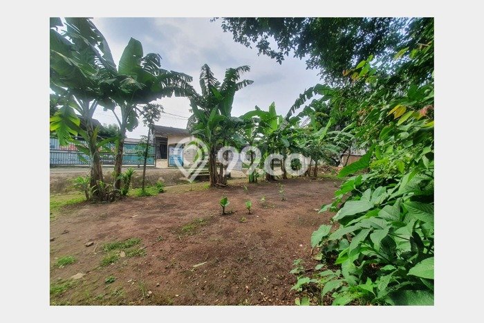 Untuk Dijual Tanah di Depok, Luas 2600m2 SHM Untuk Dijual Tanah di Depok, Luas 2600m2 SHM