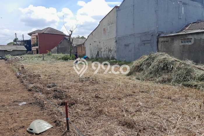 Tanah Kavling di Ciomas Dijual dengan Luas 100m2 Tanah Kavling di Ciomas Dijual dengan Luas 100m2
