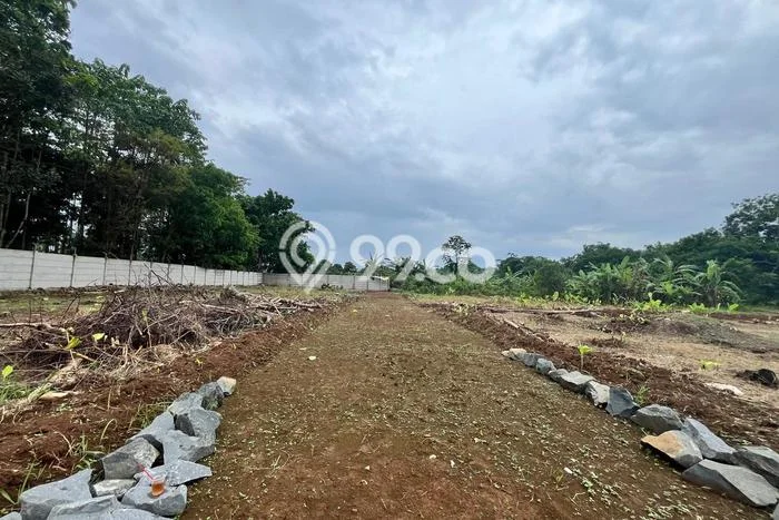 Lahan Investasi Lokasi Cisauk Tangerang SHM Lahan Investasi Lokasi Cisauk Tangerang SHM
