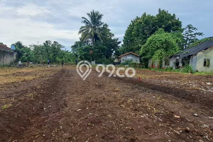 Tanah Kavling di Ciomas Dijual dengan Luas 100m2 Tanah Kavling di Ciomas Dijual dengan Luas 100m2