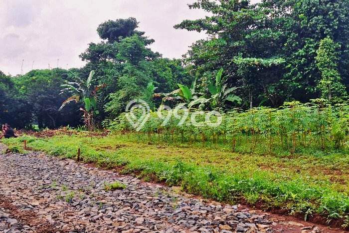 Lahan Investasi Lokasi Setu Bekasi SHM Lahan Investasi Lokasi Setu Bekasi SHM