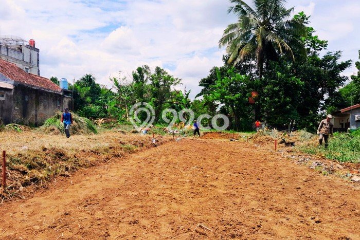 Lahan Strategis di Ciomas Dijual dengan Luas 100m2 Lahan Strategis di Ciomas Dijual dengan Luas 100m2