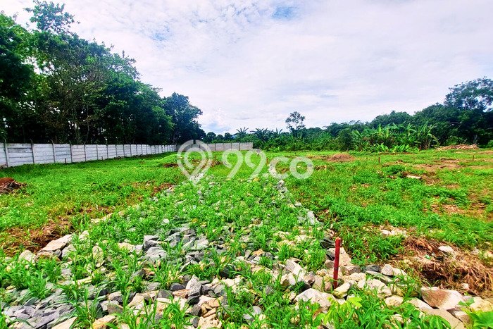 Tanah Dijual Lokasi Cisauk Tangerang SHM Tanah Dijual Lokasi Cisauk Tangerang SHM