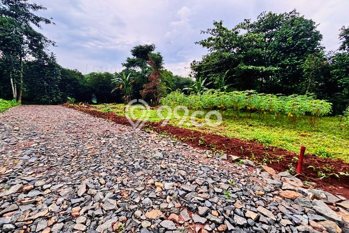 Tanah Dijual Lokasi Setu Bekasi SHM Tanah Dijual Lokasi Setu Bekasi SHM