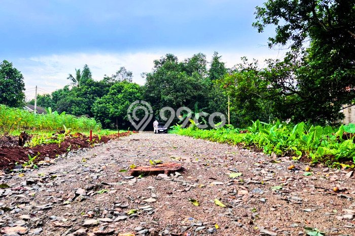 Tanah Dijual Lokasi Setu Bekasi SHM Tanah Dijual Lokasi Setu Bekasi SHM