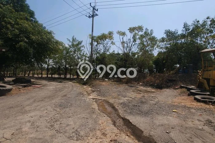 Tanah Dijual Lokasi Beber, Cirebon Luas 19255m2 Legalitas Aman Tanah Dijual Lokasi Beber, Cirebon Luas 19255m2 Legalitas Aman