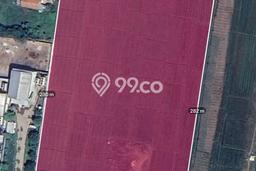 Tanah di Plered, Cirebon Luas 30000m2 Dijual Segera Tanah di Plered, Cirebon Luas 30000m2 Dijual Segera