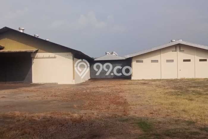 Gudang disewakan lokasi strategis Plumbon Cirebon 1800m2 Gudang disewakan lokasi strategis Plumbon Cirebon 1800m2