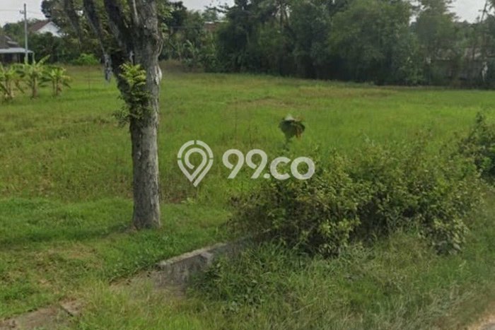Lahan Kosong Dijual di Tuban dengan Area 986m2 Lahan Kosong Dijual di Tuban dengan Area 986m2
